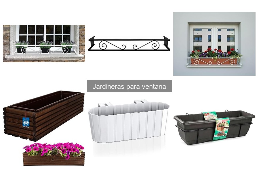 Consejos para combinar plantas en jardineras de ventana