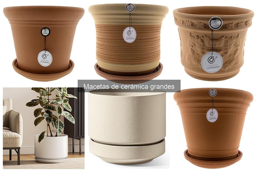 Consejos para Decorar con Macetas de Cerámica Grandes