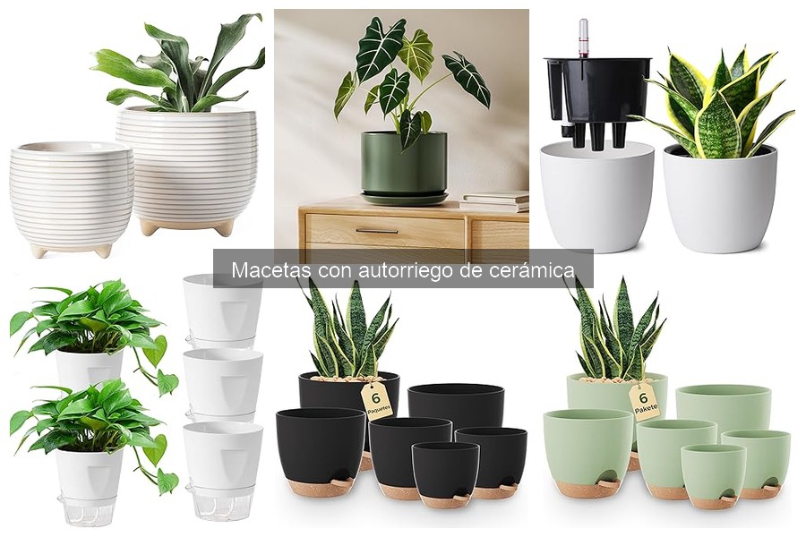 Consejos para el cuidado de macetas con autorriego de cerámica