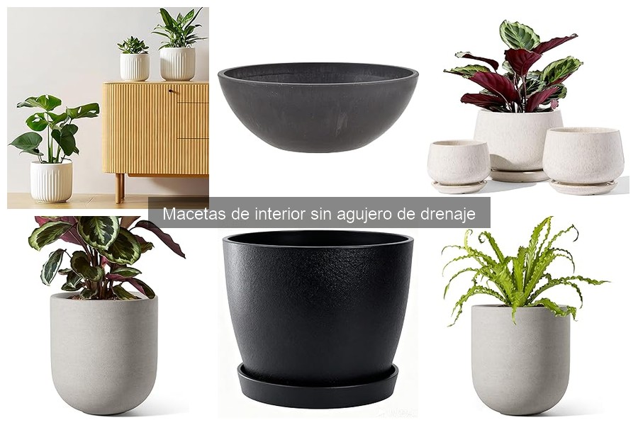 Consejos para el mantenimiento de macetas sin drenaje