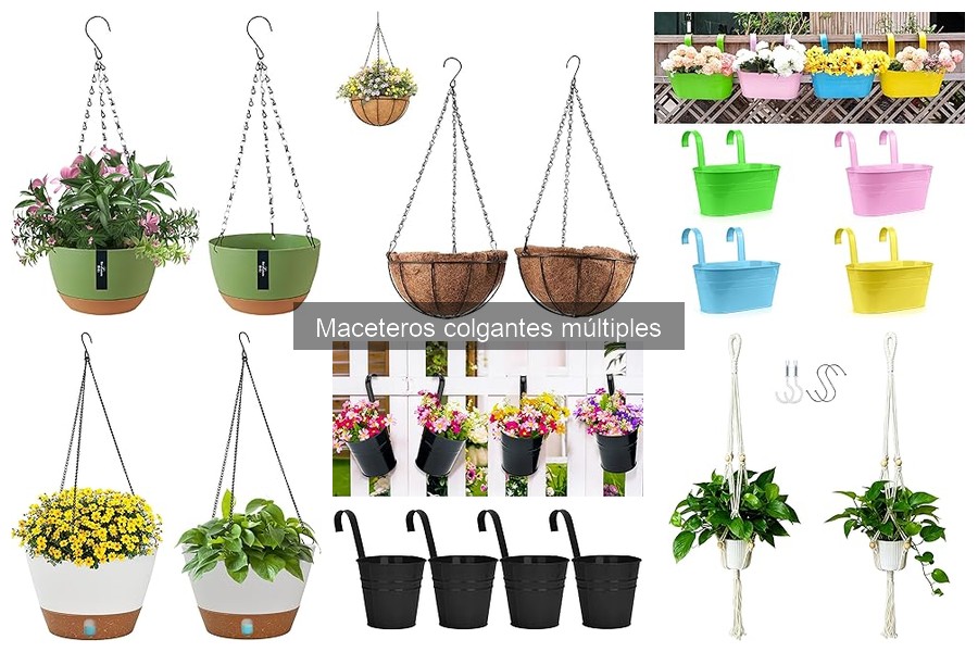 Consejos para el mantenimiento de plantas en maceteros colgantes