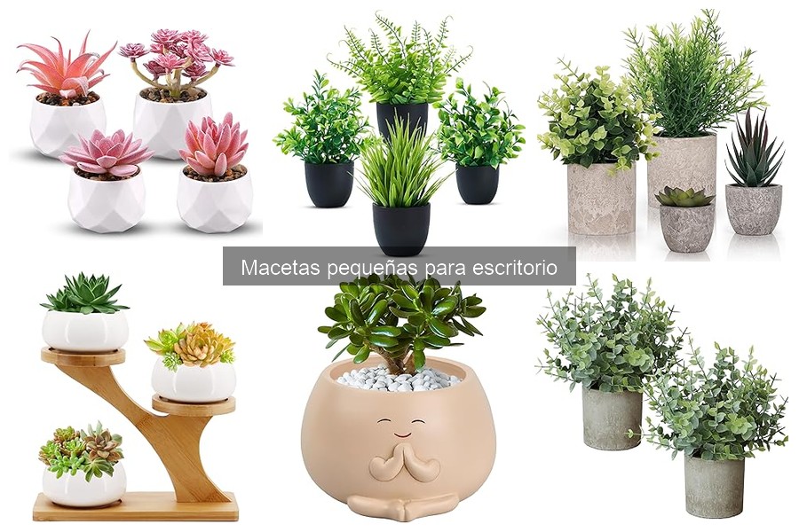 Consejos para Elegir Macetas Pequeñas para Escritorio