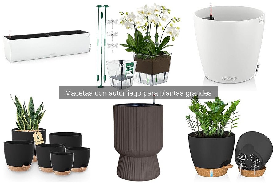 Consejos para Macetas con Autorriego de Plantas Grandes