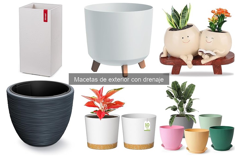 Consejos para Macetas de Exterior con Drenaje Deficiente