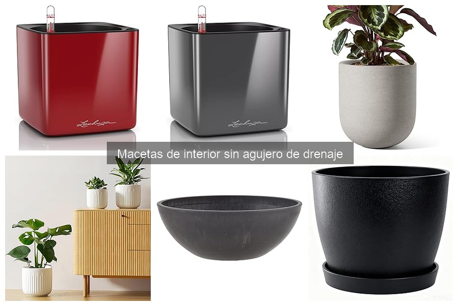 Consejos para Macetas de Interior sin Agujero de Drenaje