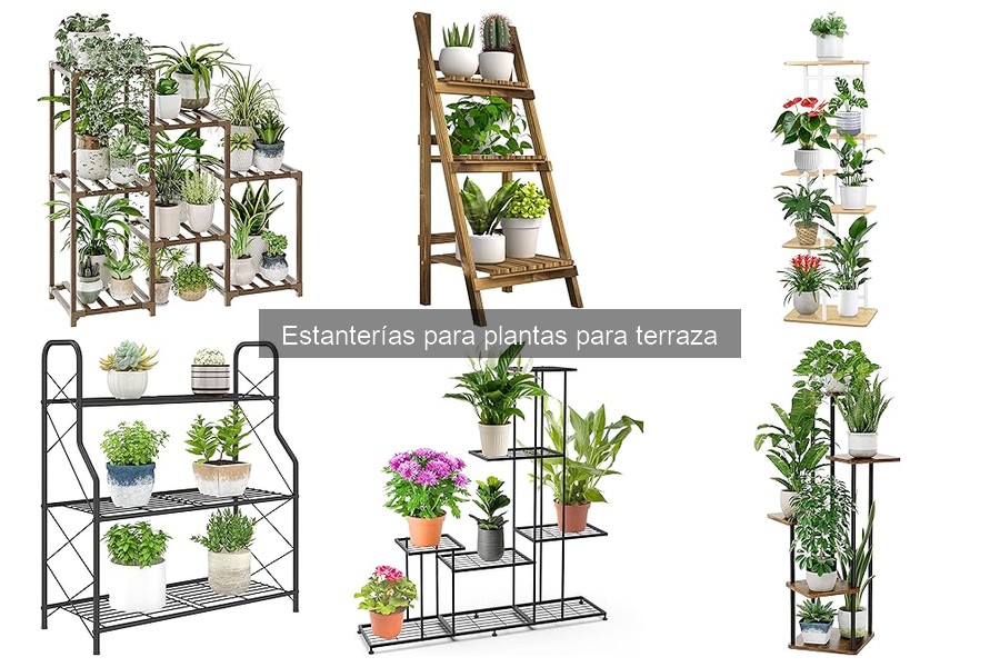 Consejos para mantener estanterías de plantas en exteriores