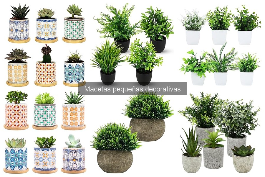 Consejos para Mantener Macetas Pequeñas Decorativas