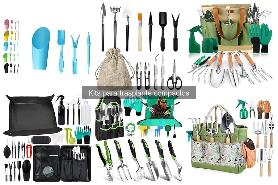 Consejos para mantener tu kit de trasplante compacto en perfecto estado