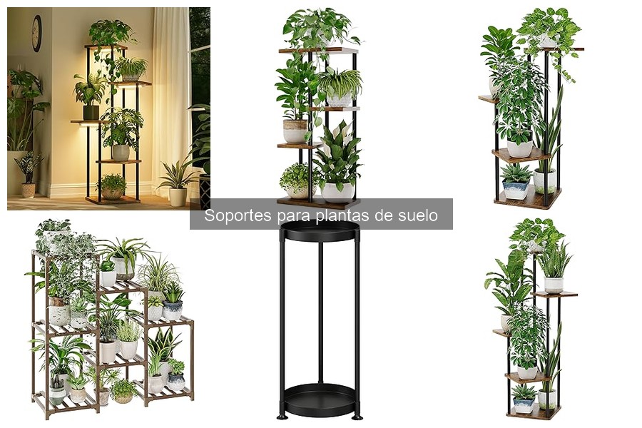 Consideraciones al Elegir Soportes para Plantas de Suelo