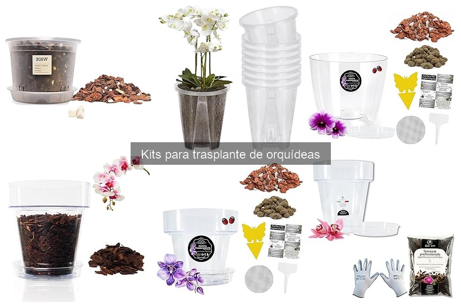 Costos promedio de kits para trasplante de orquídeas