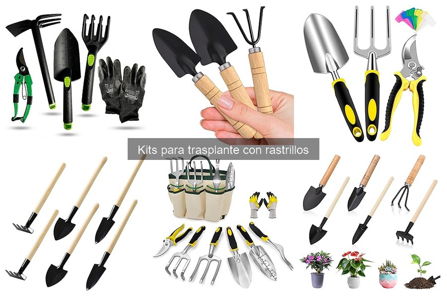 ¿Cuánto cuesta un kit para trasplante? Precios y calidad