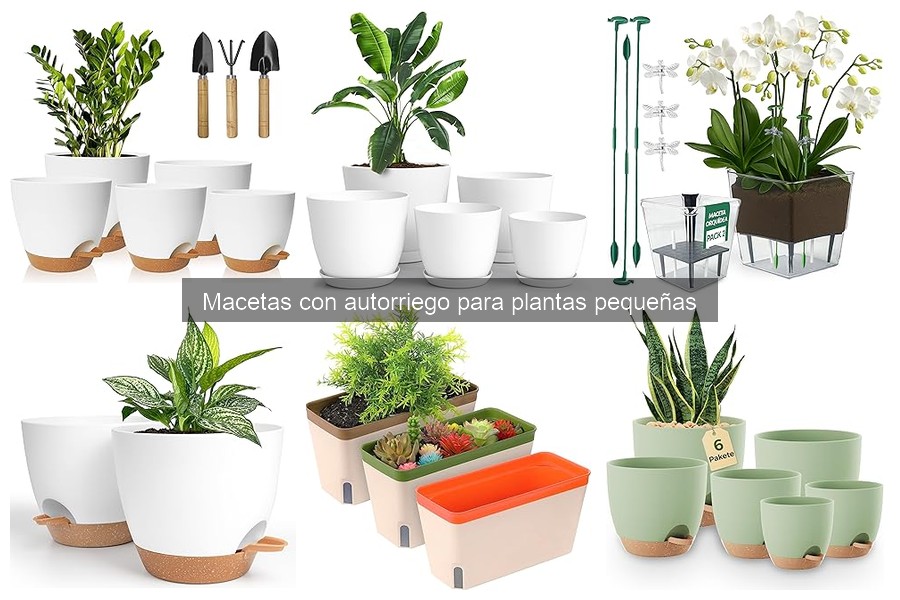 ¿Cuánto cuesta una maceta con autorriego para plantas pequeñas?