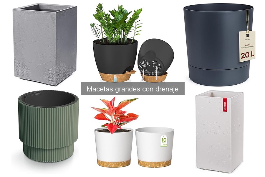 ¿Cuánto cuesta una maceta grande con drenaje? Guía de precios