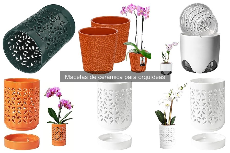 Cuidado de Macetas de Cerámica para Orquídeas: Guía Esencial