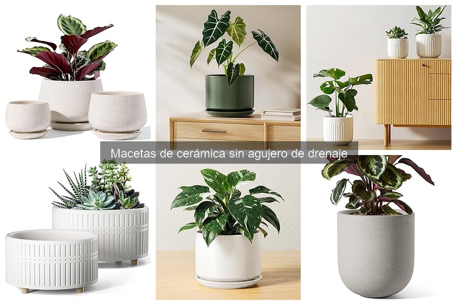 Cuidado de plantas en macetas de cerámica sin drenaje