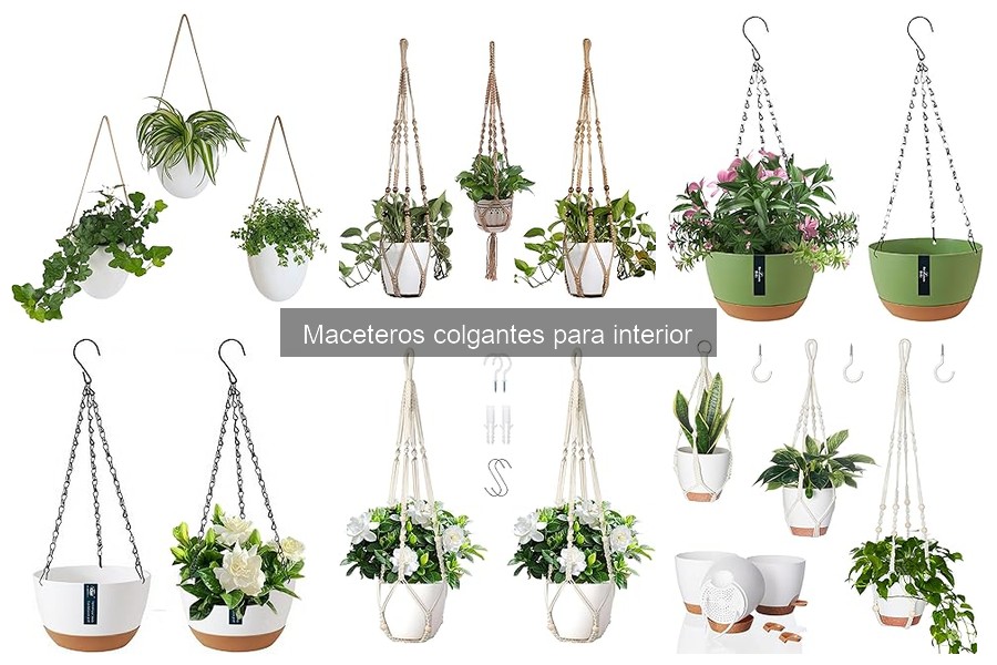 Cuidado de plantas en maceteros colgantes: riego y fertilización