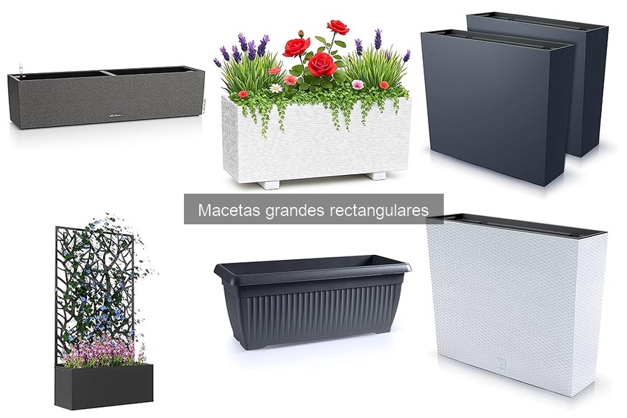 Cuidado esencial para macetas grandes rectangulares