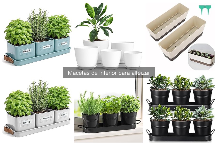 Cuidado y Mantenimiento de Macetas en Alféizares