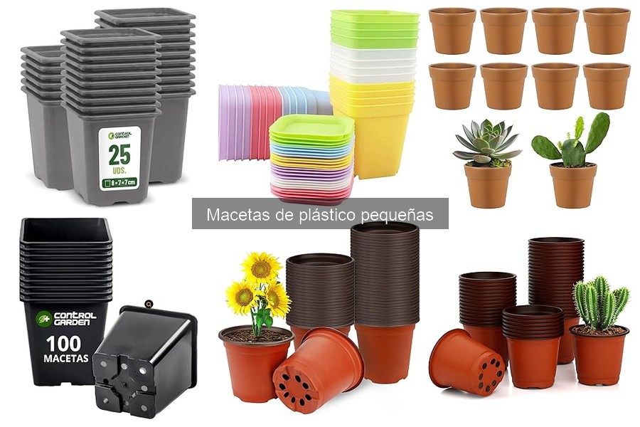 Cuidados de Macetas de Plástico Pequeñas: Mantenimiento Esencial