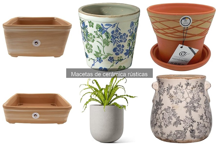 Cuidados de plantas en macetas de cerámica rústicas