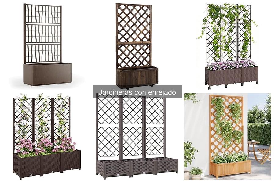 Cuidados Esenciales para Jardineras con Enrejado
