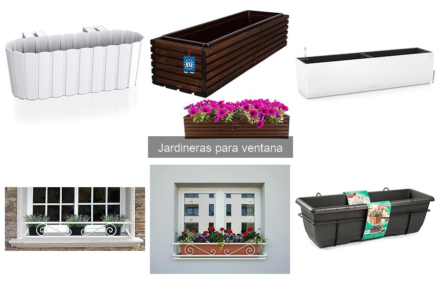 Cuidados Esenciales para Jardineras de Ventana