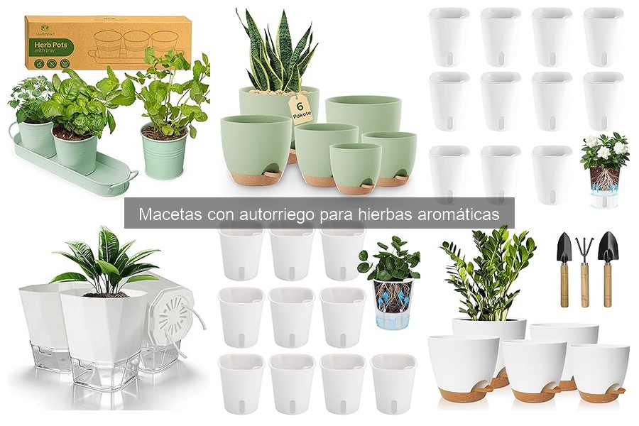Cuidados esenciales para macetas con autorriego