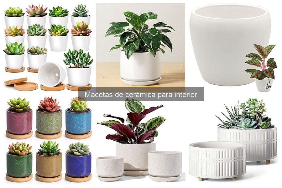 Cuidados Específicos para Macetas de Cerámica en Interior
