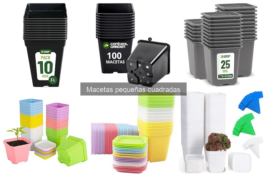 Cuidados Específicos para Plantas en Macetas Pequeñas Cuadradas