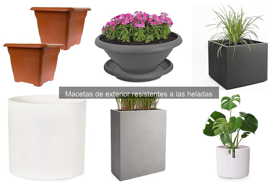 Cuidados para macetas de exterior resistentes a heladas