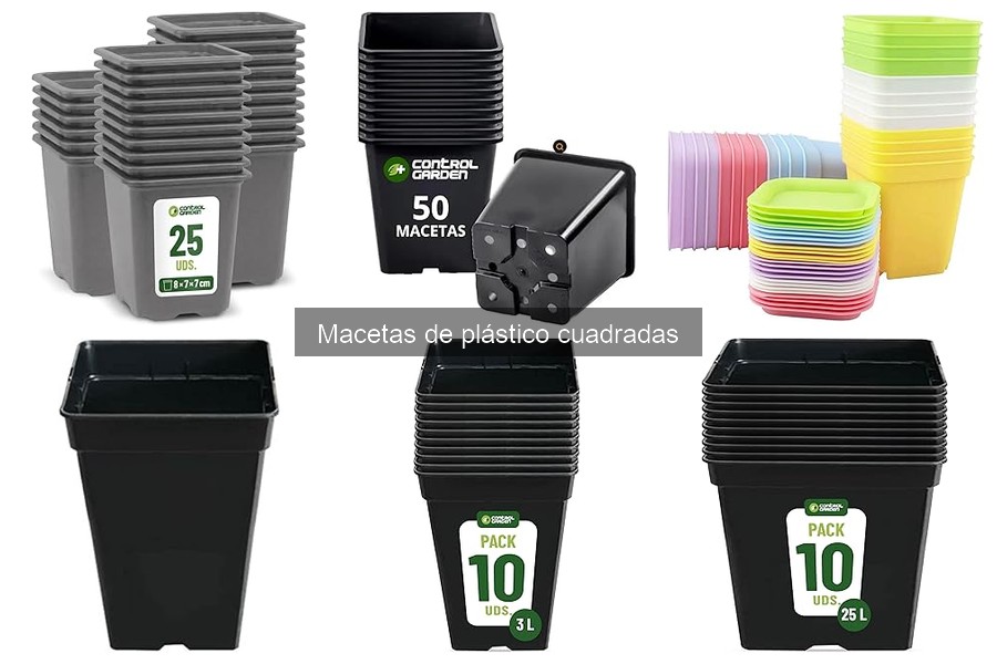 Cuidados para plantas en macetas de plástico cuadradas