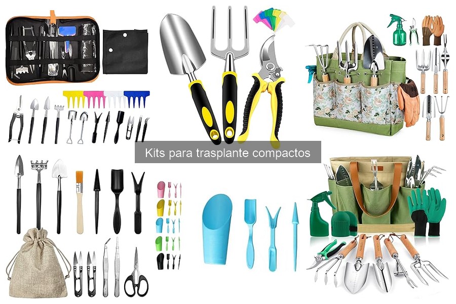 Cuidados Post-Trasplante: Consejos con Kits Compactos