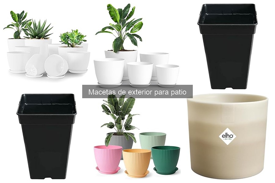 Cuidados y Mantenimiento de Macetas de Exterior para Patio
