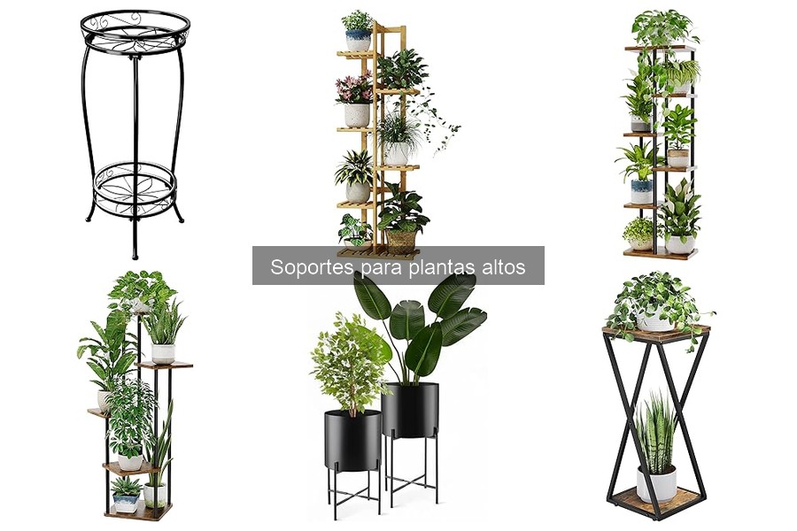 Cuidados y Mantenimiento de Soportes para Plantas Altos