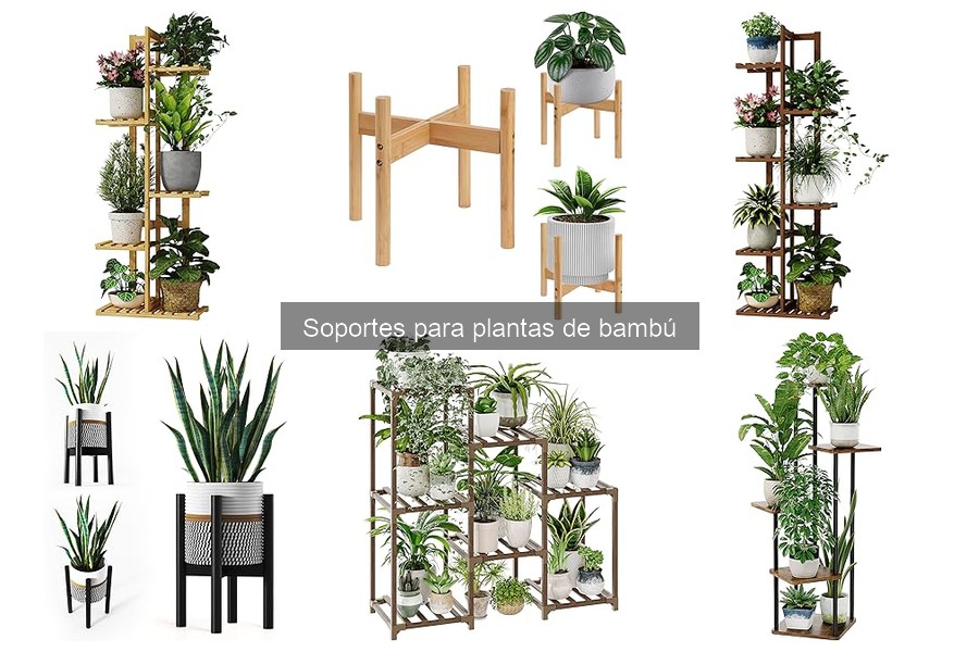 Cuidados y Mantenimiento de Soportes para Plantas de Bambú