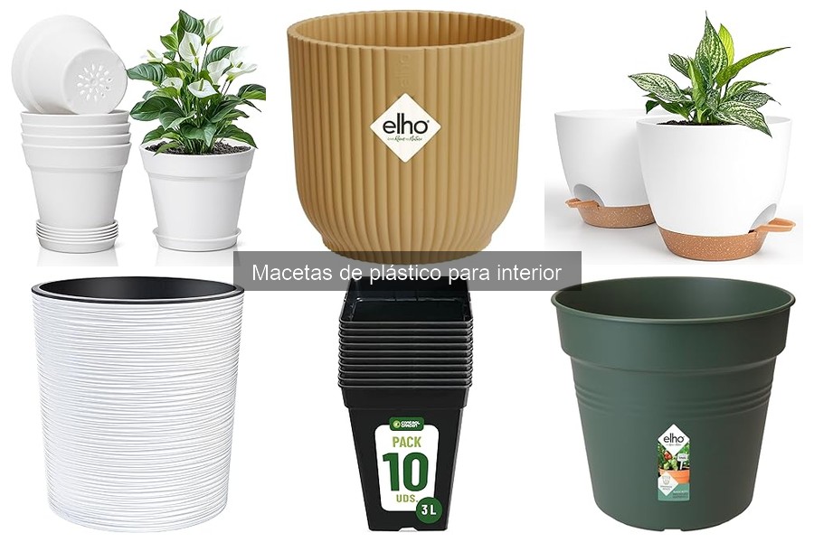 Cultivar hierbas en macetas de plástico en interior