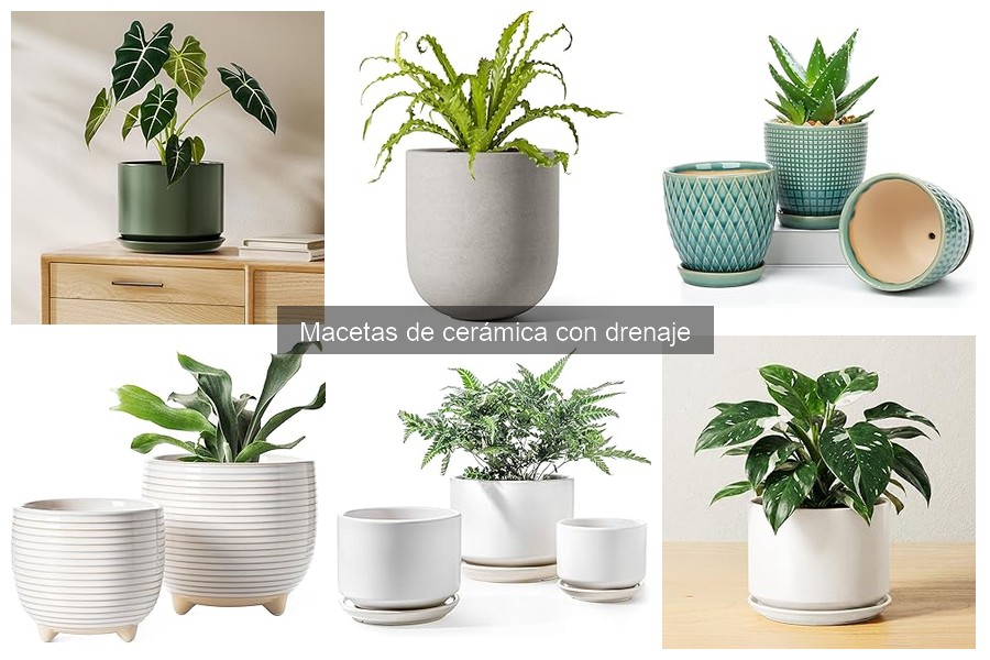 Decora tu hogar con macetas de cerámica con drenaje