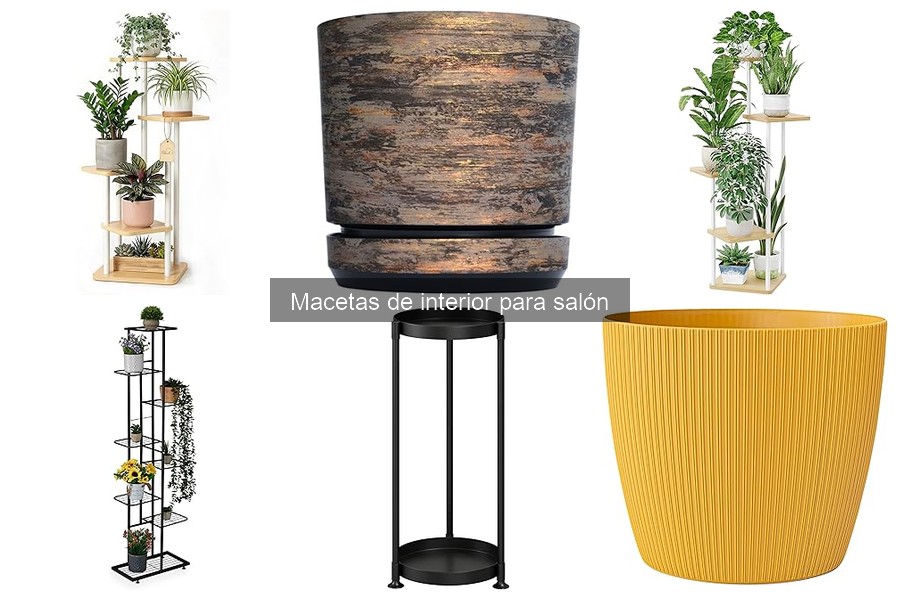 Decora tu salón con macetas de interior: Ideas creativas