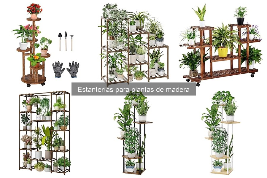 Decorar tu hogar con estanterías de madera para plantas