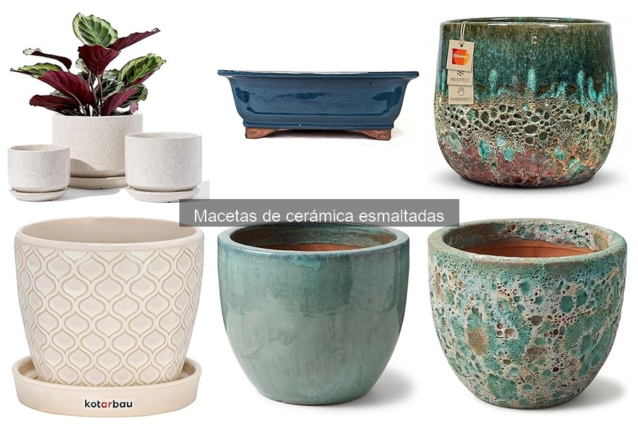 Descubre las macetas de cerámica esmaltadas: características y beneficios