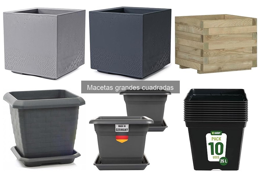 Descubre las macetas grandes cuadradas: ventajas y usos