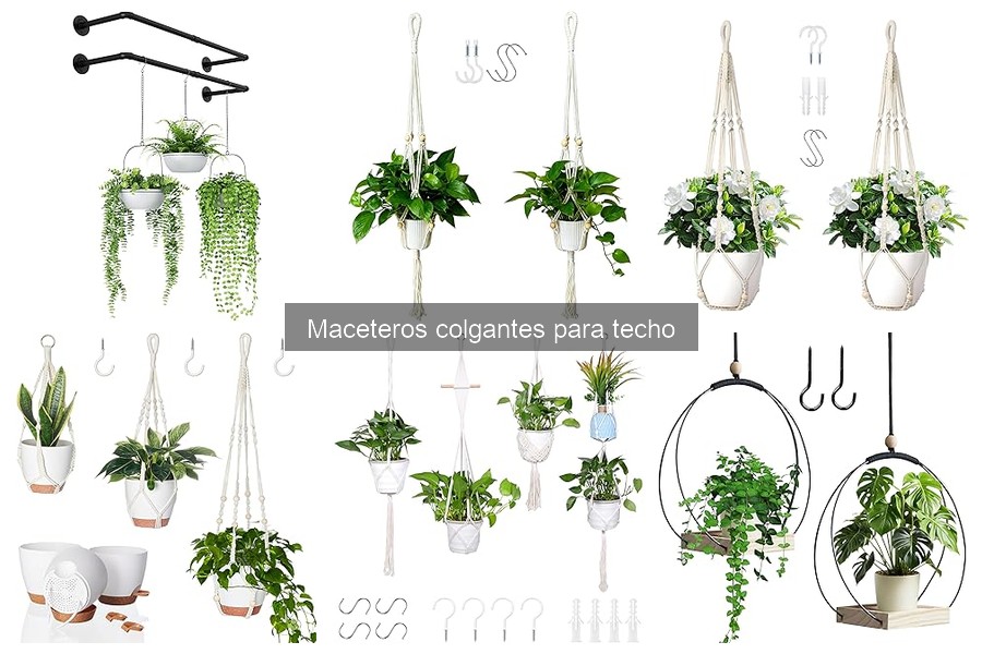 Descubre los maceteros colgantes para techo y sus ventajas