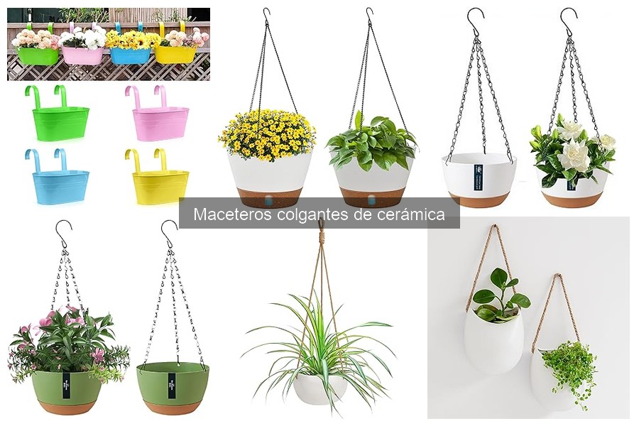 Descubre los Mejores Maceteros Colgantes de Cerámica