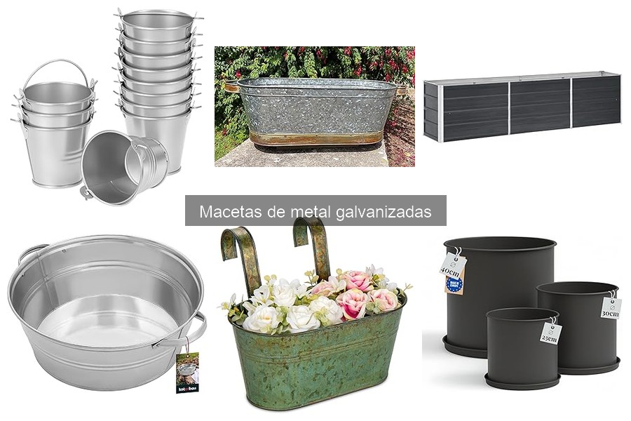 Descubre qué son las macetas de metal galvanizado