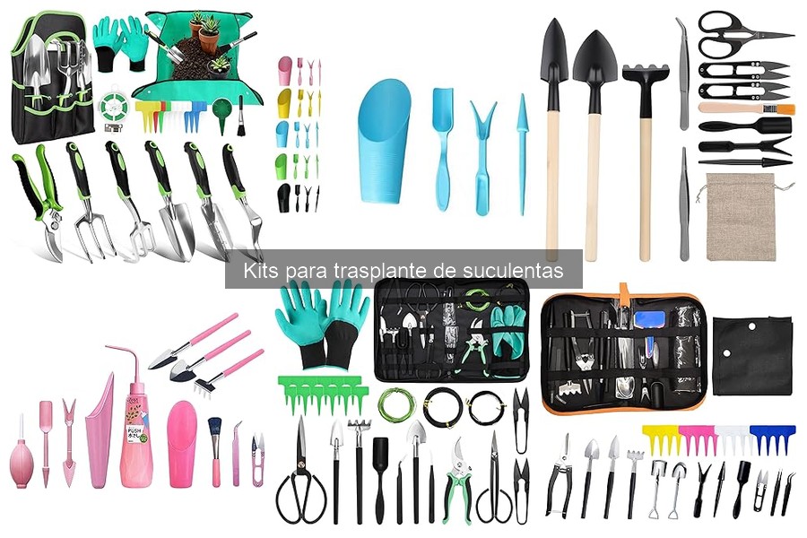 Diferencias entre Kits de Trasplante de Suculentas y Otros