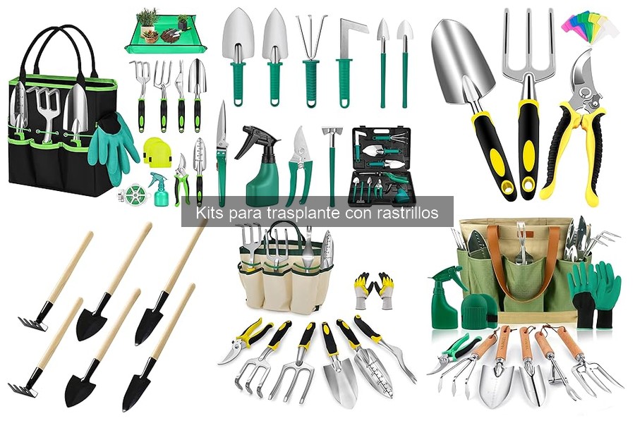 Diferencias entre kits de trasplante para interior y exterior