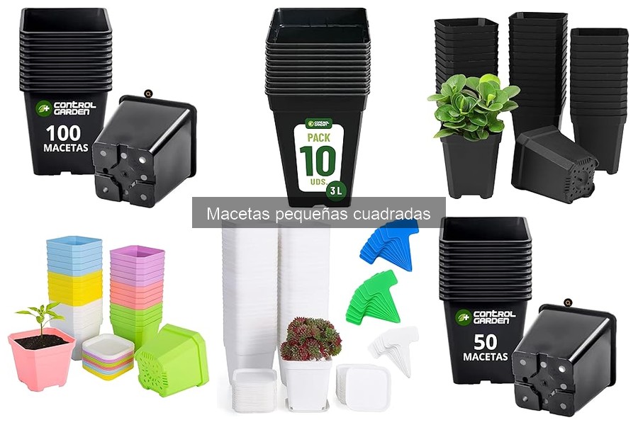 Diferencias entre macetas cuadradas y redondas para plantas