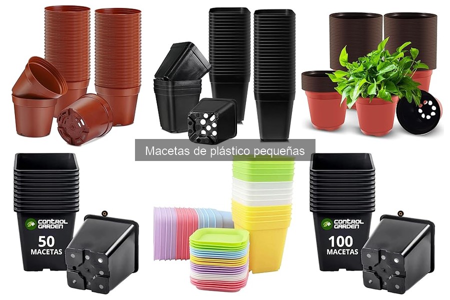Diferencias entre macetas de plástico y barro para plantas