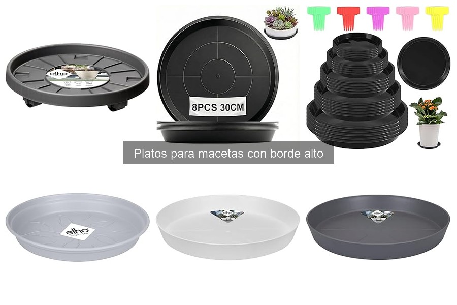 Diferencias entre platos para macetas altos y estándar