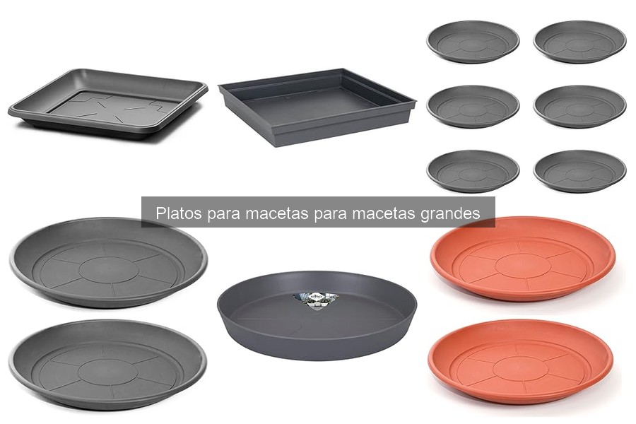 Diseño y estética de platos para macetas grandes